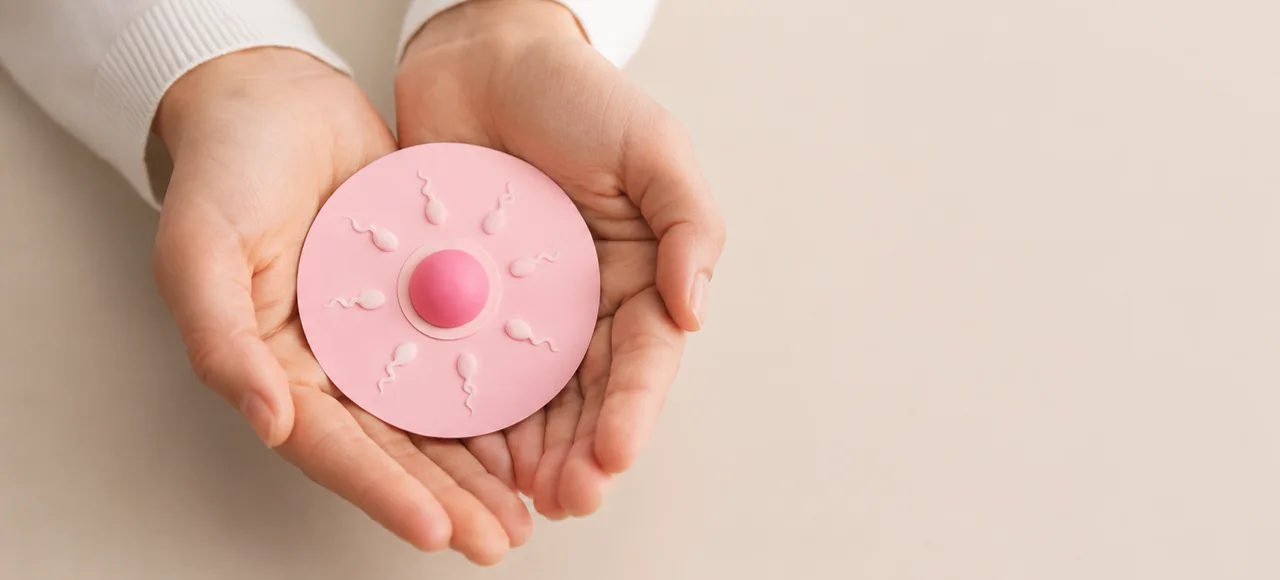 Hands holding pink egg and sperm model